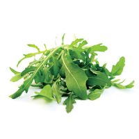 rucola